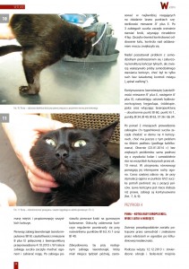 laseroterapia_u_zwierzat_z_niedowladem_lub_porazeniem_konczyn_04