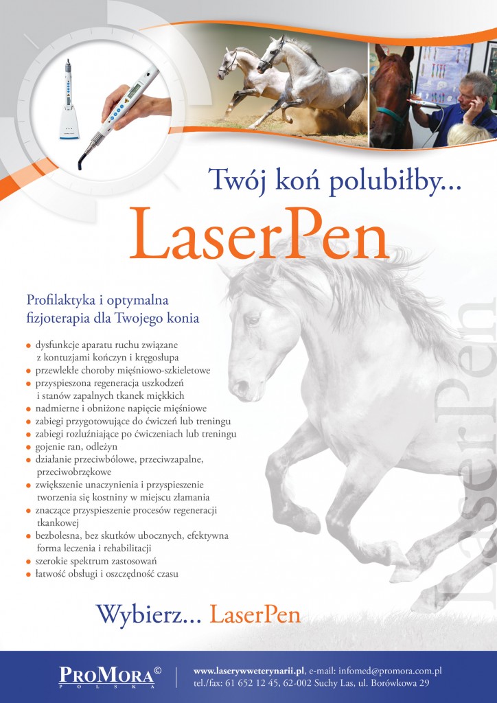 laserpen_kon