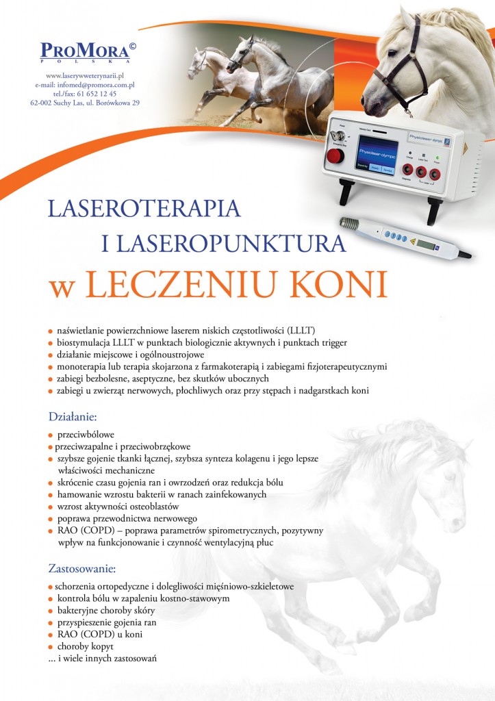physiolaser_wet_01