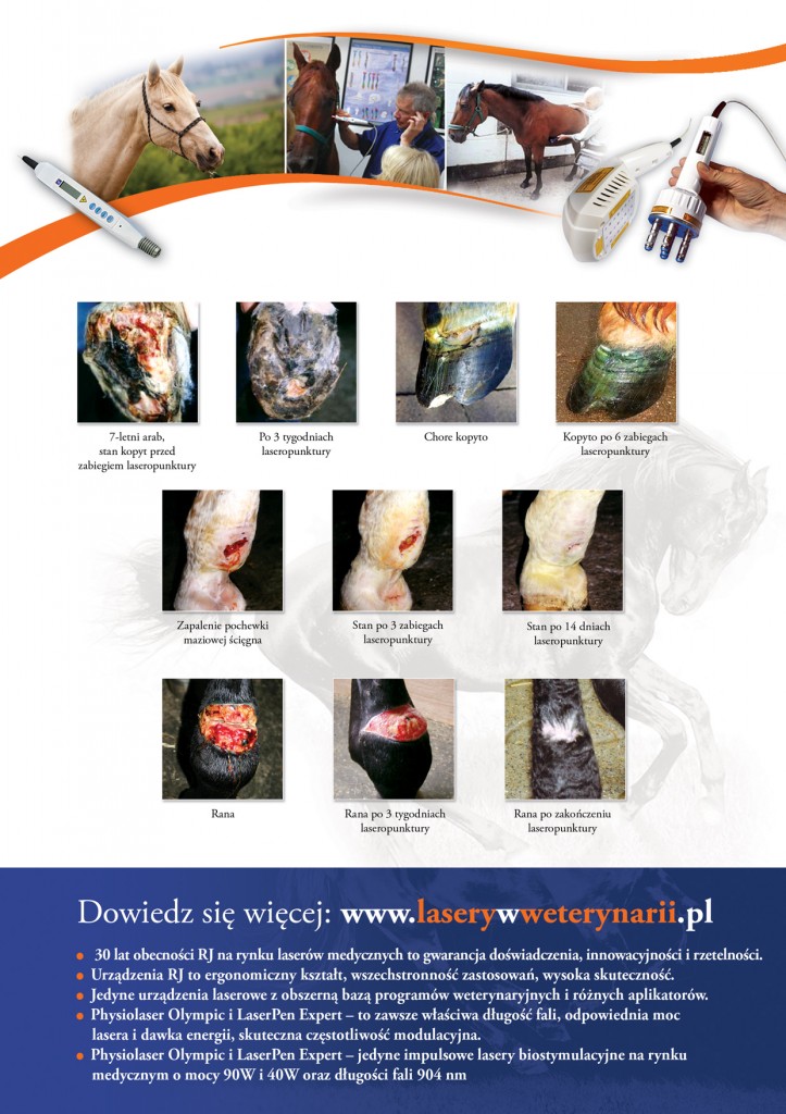 physiolaser_wet_02