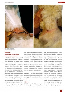 vetcase - leczenie_zakazen_i_ran_wylacznie_poprzez_laseropunkture_05